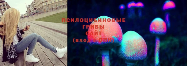 дмт Горняк