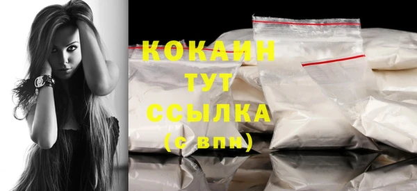 дмт Горняк