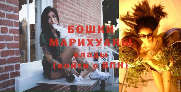 дмт Горняк