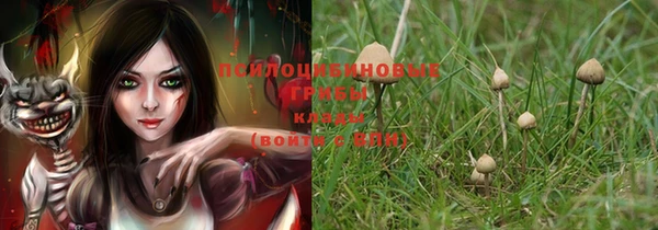 дмт Горняк