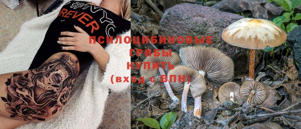 дмт Горняк