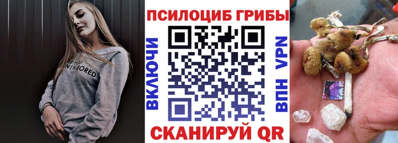 Псилоцибиновые грибы Cubensis  Купить  Красногорск 